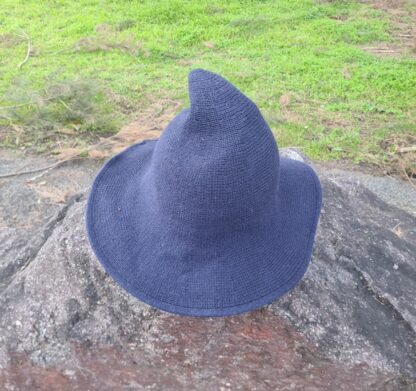 Blue Witch hat